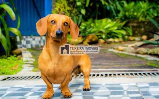 PVP 10 – Linda pousada a venda em Angra dos Reis