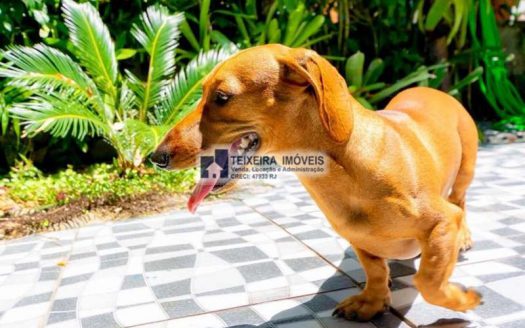 PVP 10 – Linda pousada a venda em Angra dos Reis