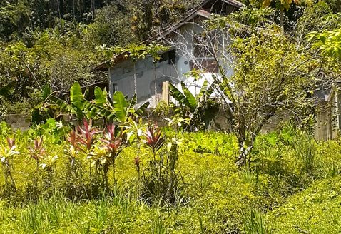 TVP 385 – Lotes a Venda no Bairro Ubatumirim em Ubatuba SP