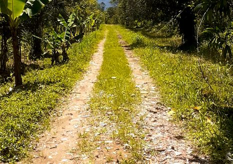 TVP 385 – Lotes a Venda no Bairro Ubatumirim em Ubatuba SP