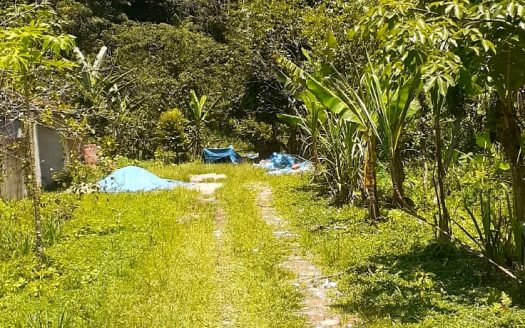 TVP 385 – Lotes a Venda no Bairro Ubatumirim em Ubatuba SP