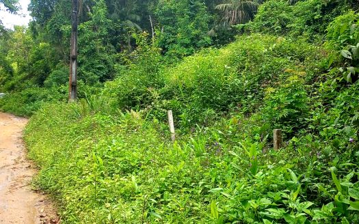 TVP 384 – Vendo Lotes em Ubatumirim em Ubatuba SP