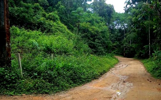 TVP 384 – Vendo Lotes em Ubatumirim em Ubatuba SP