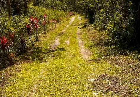 TVP 385 – Lotes a Venda no Bairro Ubatumirim em Ubatuba SP