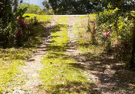 TVP 385 – Lotes a Venda no Bairro Ubatumirim em Ubatuba SP