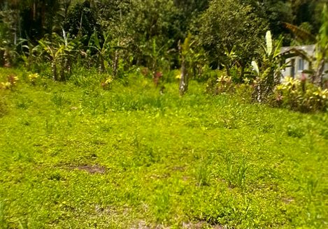 TVP 385 – Lotes a Venda no Bairro Ubatumirim em Ubatuba SP