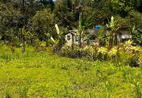 TVP 385 – Lotes a Venda no Bairro Ubatumirim em Ubatuba SP