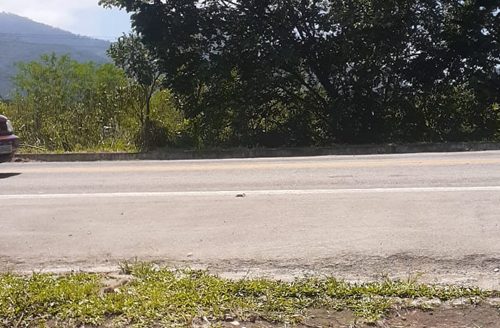 TVP 385 – Lotes a Venda no Bairro Ubatumirim em Ubatuba SP