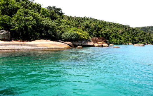 TVP 424 – Áreas a Venda de 32.000, 40.000 ou 72.000m2 na Ilha do Algodão em Paraty RJ