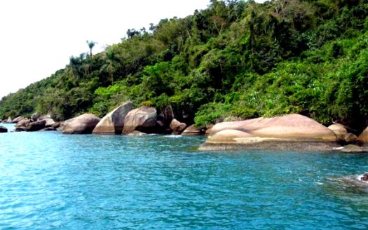 TVP 424 – Áreas a Venda de 32.000, 40.000 ou 72.000m2 na Ilha do Algodão em Paraty RJ