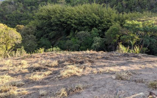 CVC 1117 – Chácara a Venda no Bairro Aparição em Cunha SP