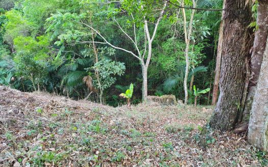 CVC 1117 – Chácara a Venda no Bairro Aparição em Cunha SP