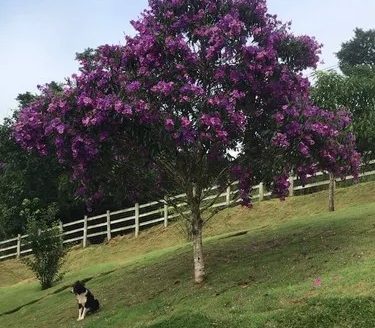 CVC 1114 – Lindas Chácaras a Venda no Bairro Jaguarão em Cunha SP