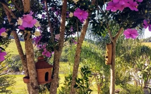 CVC 1114 – Lindas Chácaras a Venda no Bairro Jaguarão em Cunha SP