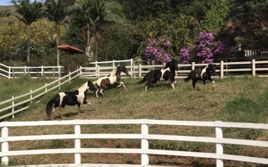 CVC 1114 – Lindas Chácaras a Venda no Bairro Jaguarão em Cunha SP