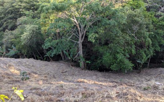 CVC 1117 – Chácara a Venda no Bairro Aparição em Cunha SP