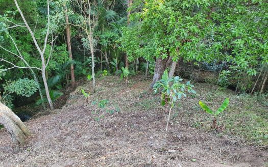 CVC 1117 – Chácara a Venda no Bairro Aparição em Cunha SP