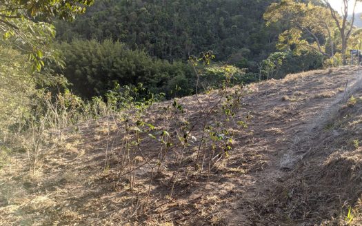 CVC 1117 – Chácara a Venda no Bairro Aparição em Cunha SP