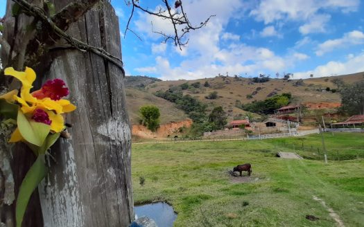 CVC 1142 – Belíssima Chácara a Venda no Bairro Catióca em Cunha – SP