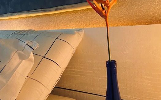 CVP 1199 – Casa a Beira Mar a Venda na Ilha do Araújo em Paraty RJ