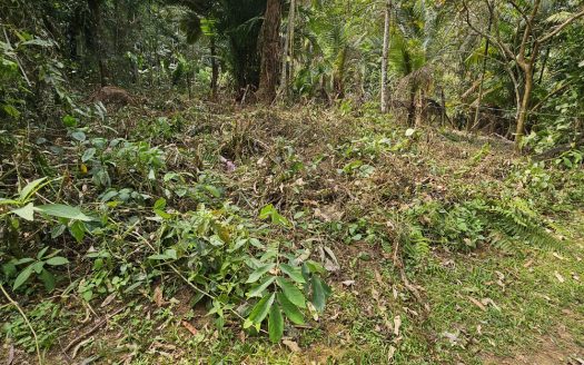 TVP 1303 – Fração a Venda no Bairro Sertão do taquari com Frente Pra Cachoeira