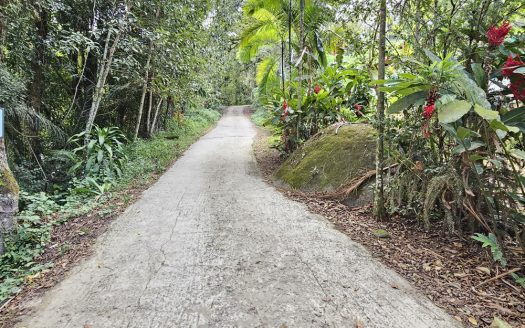 CVP 1310 – Linda Chácara Estilo Colonial com Frente Pra Cachoeira no Bairro do Penha
