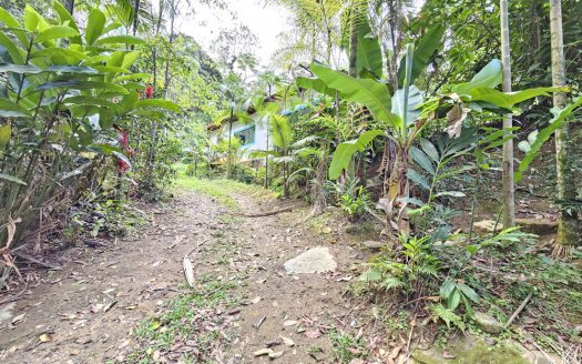 CVP 1310 – Linda Chácara Estilo Colonial com Frente Pra Cachoeira no Bairro do Penha