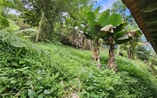 CVP 1310 – Linda Chácara Estilo Colonial com Frente Pra Cachoeira no Bairro do Penha