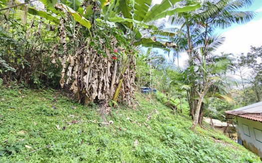 CVP 1310 – Linda Chácara Estilo Colonial com Frente Pra Cachoeira no Bairro do Penha