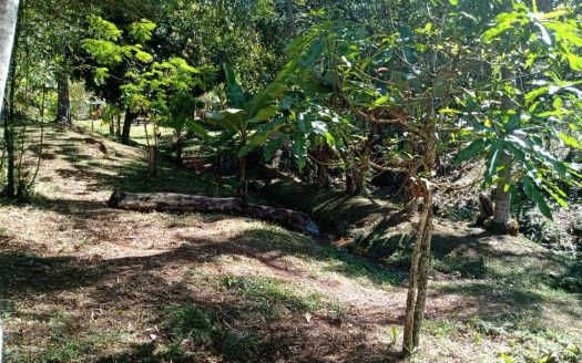 CVP 1307 – Linda Chácara a Venda no Bairro do Cedro em Cunha SP
