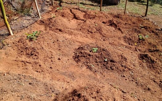 CVP 1307 – Linda Chácara a Venda no Bairro do Cedro em Cunha SP