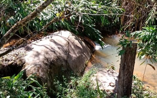 CVP 1307 – Linda Chácara a Venda no Bairro do Cedro em Cunha SP