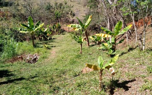 CVP 1307 – Linda Chácara a Venda no Bairro do Cedro em Cunha SP