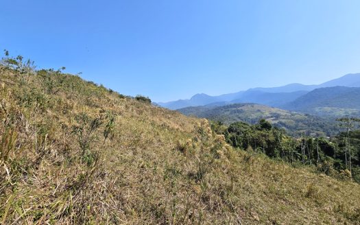 SVP 1329 – Sítio Escriturado Com Vista para a Mata e o Mar na Ponte Branca