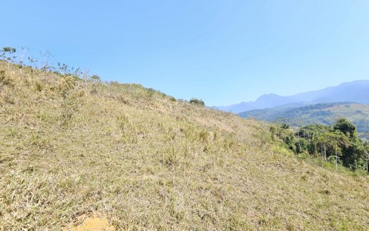 SVP 1329 – Sítio Escriturado Com Vista para a Mata e o Mar na Ponte Branca