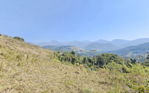 SVP 1329 – Sítio Escriturado Com Vista para a Mata e o Mar na Ponte Branca