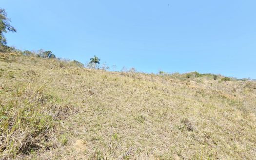 SVP 1329 – Sítio Escriturado Com Vista para a Mata e o Mar na Ponte Branca