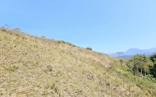 SVP 1329 – Sítio Escriturado Com Vista para a Mata e o Mar na Ponte Branca