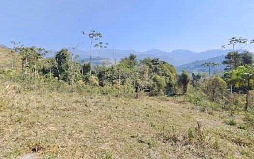 SVP 1329 – Sítio Escriturado Com Vista para a Mata e o Mar na Ponte Branca