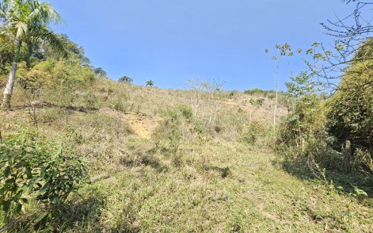 SVP 1329 – Sítio Escriturado Com Vista para a Mata e o Mar na Ponte Branca