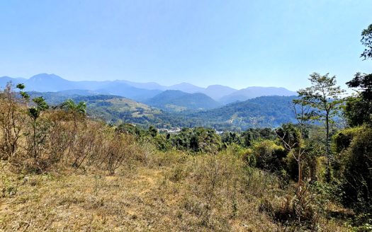 SVP 1329 – Sítio Escriturado Com Vista para a Mata e o Mar na Ponte Branca