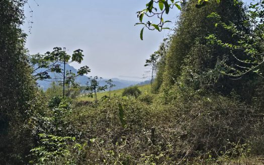 SVP 1329 – Sítio Escriturado Com Vista para a Mata e o Mar na Ponte Branca