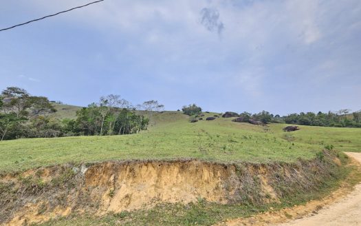 TVP 1351 – Lotes a Venda com Vista Para a Mata no Bairro Ponte Branca em Paraty RJ