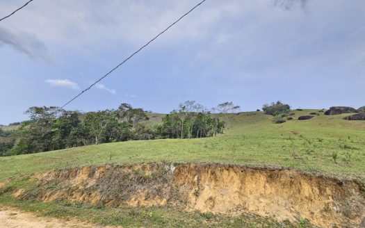 TVP 1351 – Lotes a Venda com Vista Para a Mata no Bairro Ponte Branca em Paraty RJ