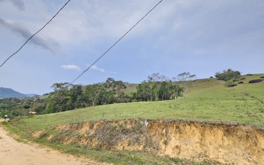 TVP 1351 – Lotes a Venda com Vista Para a Mata no Bairro Ponte Branca em Paraty RJ