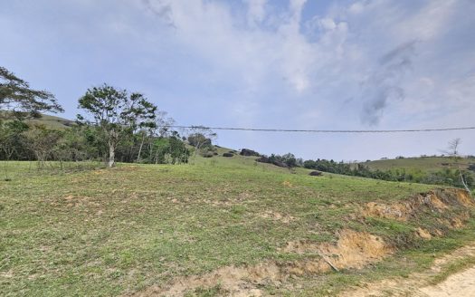 TVP 1351 – Lotes a Venda com Vista Para a Mata no Bairro Ponte Branca em Paraty RJ