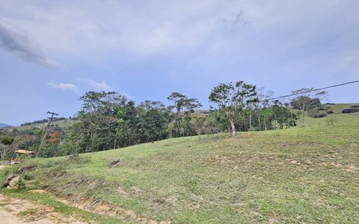 TVP 1351 – Lotes a Venda com Vista Para a Mata no Bairro Ponte Branca em Paraty RJ