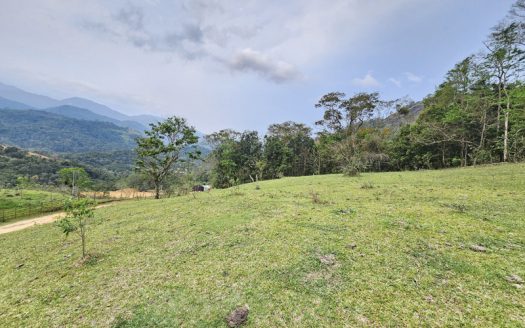 TVP 1351 – Lotes a Venda com Vista Para a Mata no Bairro Ponte Branca em Paraty RJ