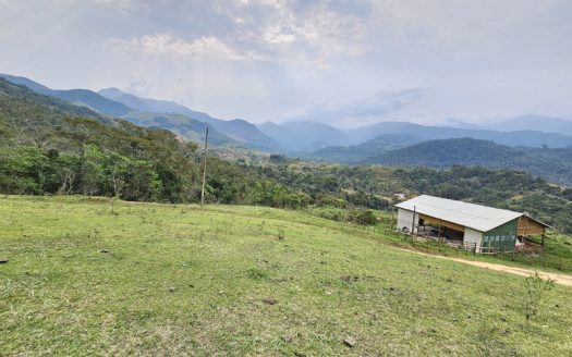 TVP 1351 – Lotes a Venda com Vista Para a Mata no Bairro Ponte Branca em Paraty RJ