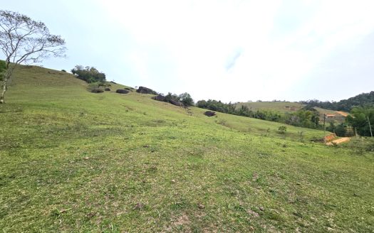 TVP 1351 – Lotes a Venda com Vista Para a Mata no Bairro Ponte Branca em Paraty RJ